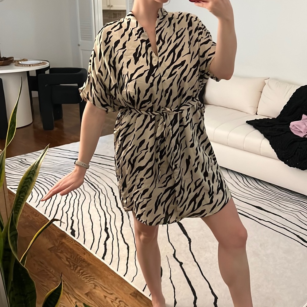 Vici Zebra Silk Dress